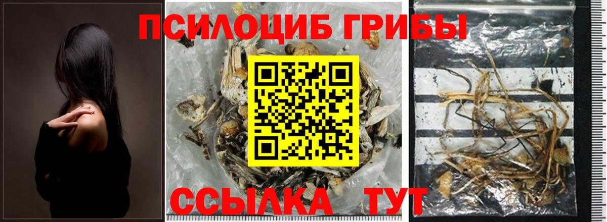 Псилоцибиновые грибы MAGIC MUSHROOMS  Вход с VPN  Назарово 